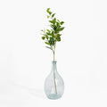 Laurel foliage spray