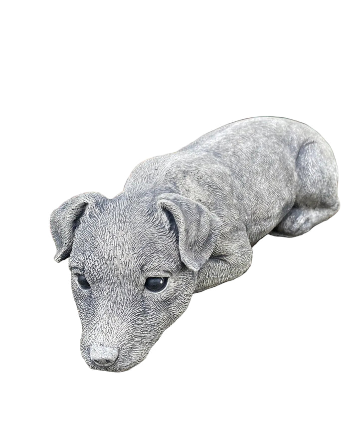 Concrete fox terrier garden statue front view outdoor cement dog ornament
