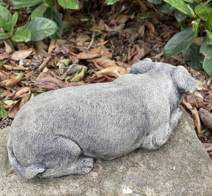 Laying Fox Terrier /Jack Russell Dog Statue - Concrete Garden Ornament