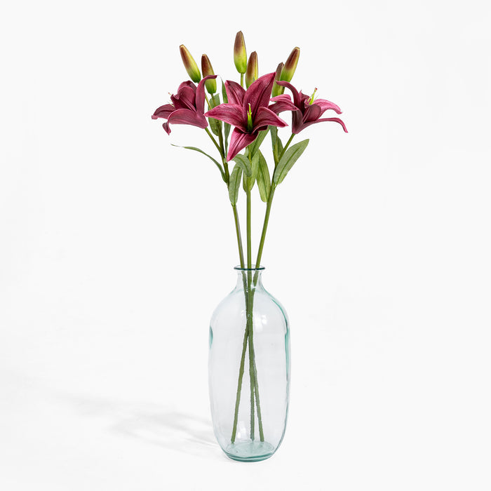 Lily stem