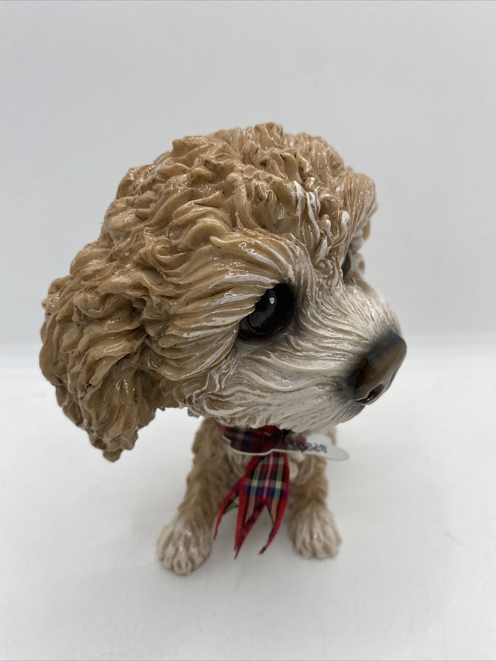 Little Paws - Mollie The Cavachon Poodle Cross Cavoodle Pets With Personality