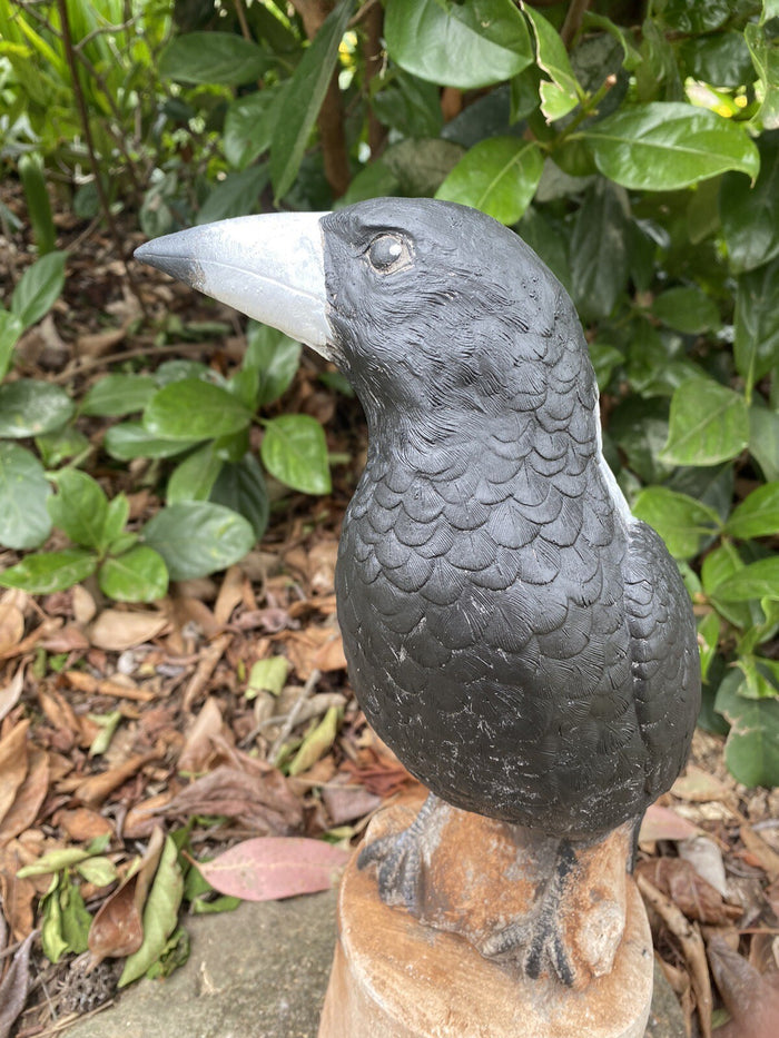 Magpie on Stump Bird Statue Ornament Animal Concrete Garden Australian Made Blk
