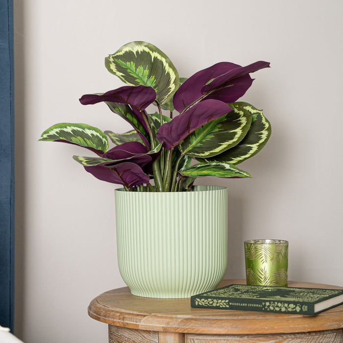 Potted plant on a wooden side table with a book and candle