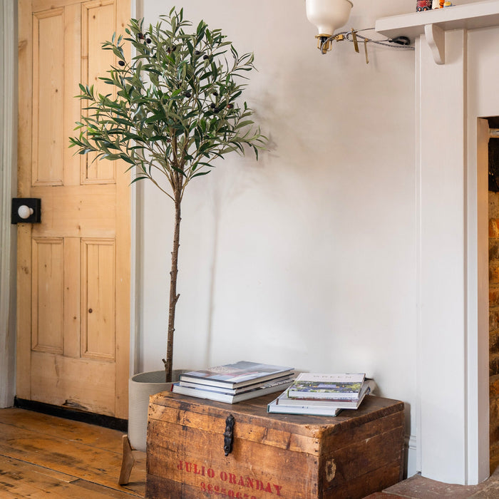 Wooden chest with books and a plant next to a wooden door in a room with a brick wall.