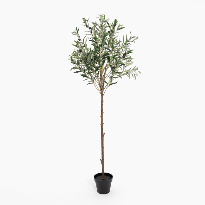Potted artificial olive tree on a white background
