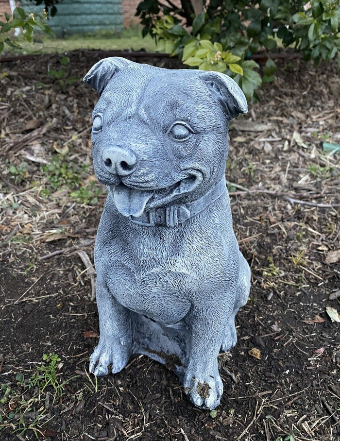 medium staffy dog statue for garden
