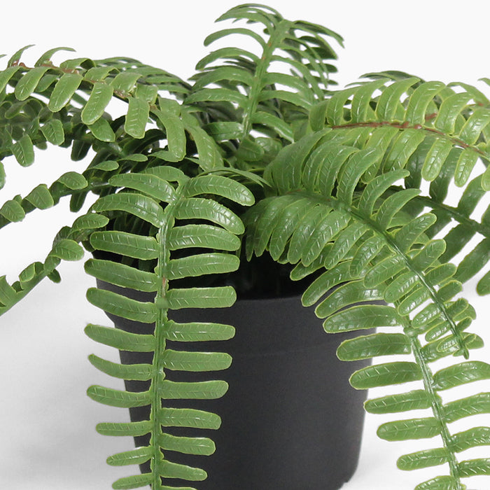 Artificial mini fern foliage