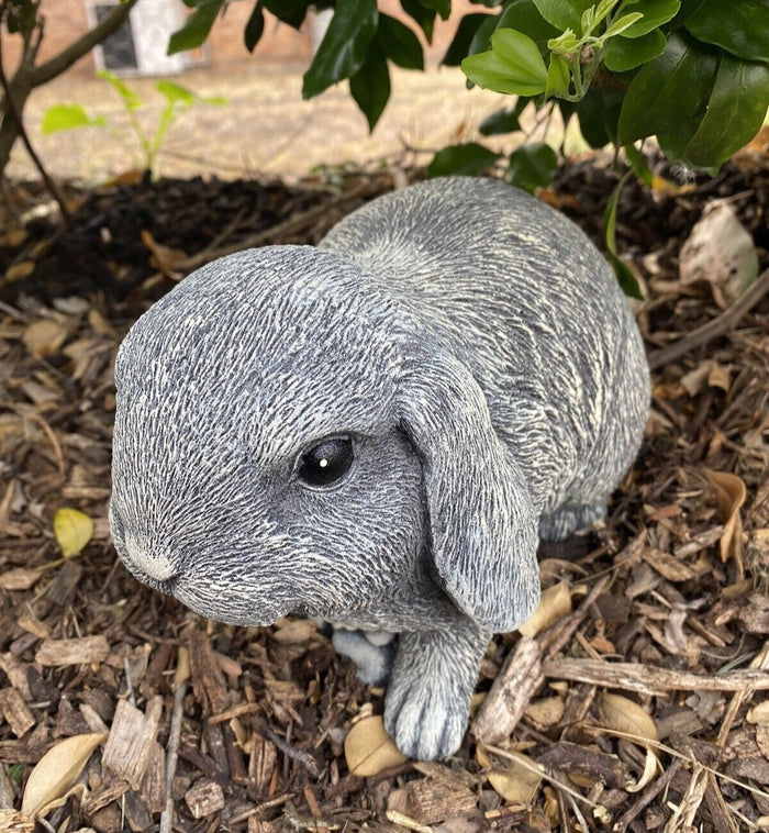 Mini Lop Rabbit Statue Ornament Farm Animal Concrete Garden Australian Made