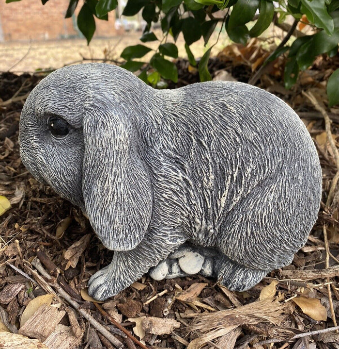 Mini Lop Rabbit Statue Ornament Farm Animal Concrete Garden Australian Made