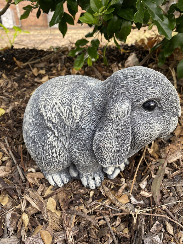 Mini Lop Rabbit Statue Ornament Farm Animal Concrete Garden Australian Made
