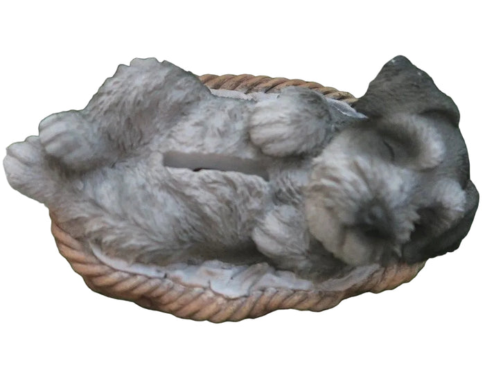 MINI SCHNAUZER IN BASKET PUPPY DOG ANIMAL STATUE ORNAMENT FIGURINE MONEYBOX