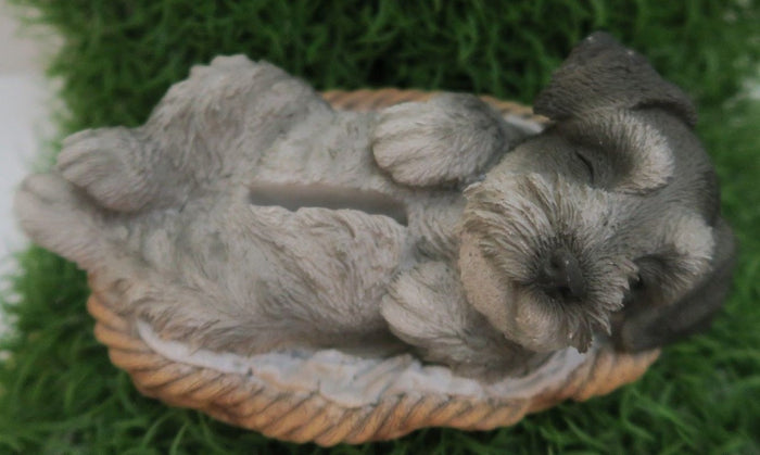 MINI SCHNAUZER IN BASKET PUPPY DOG ANIMAL STATUE ORNAMENT FIGURINE MONEYBOX