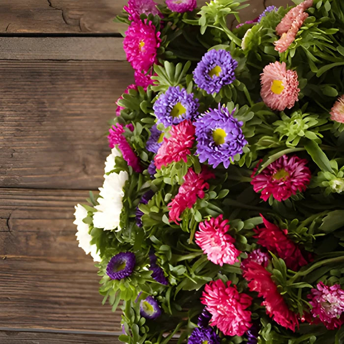 Mixed Color Matsumoto Aster Flowers