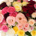 Mixed Color Spray Roses