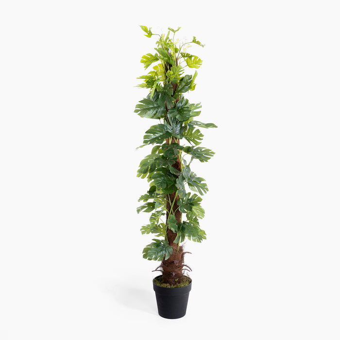 Artificial potted plant with green leaves on a white background