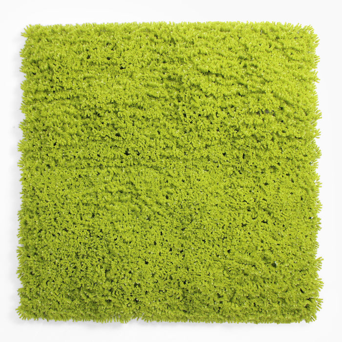 Square piece of green textured material on a white background