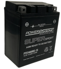 Motorcycle PTX14AHLBS-FS 12V 210CCA 12Ah AGM Powersports Battery