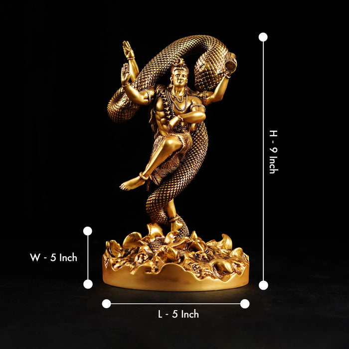 Mystical Shiva
