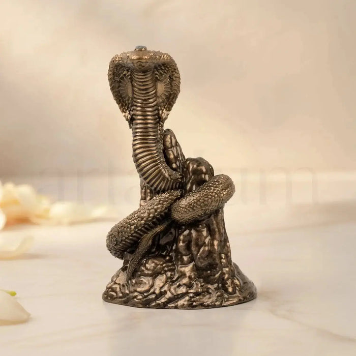 Naag Roop Gogaji Idol