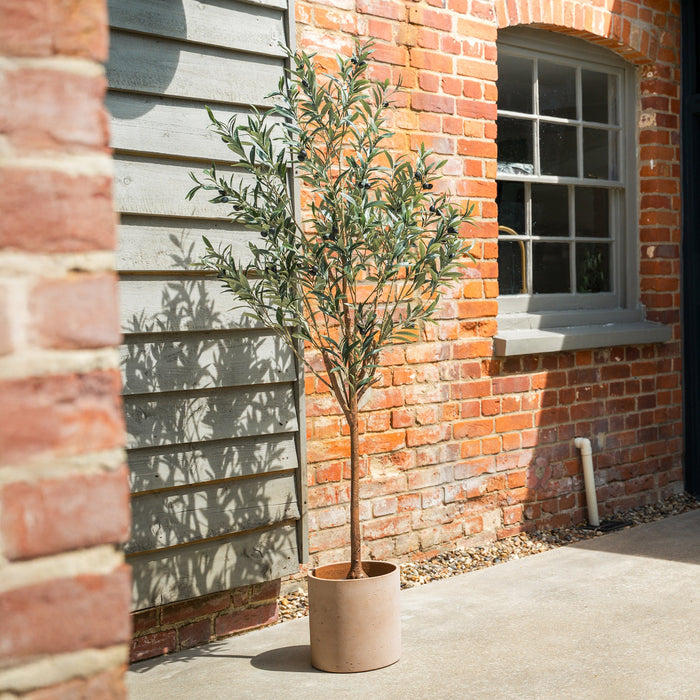 Potted plant in front of a brick building
