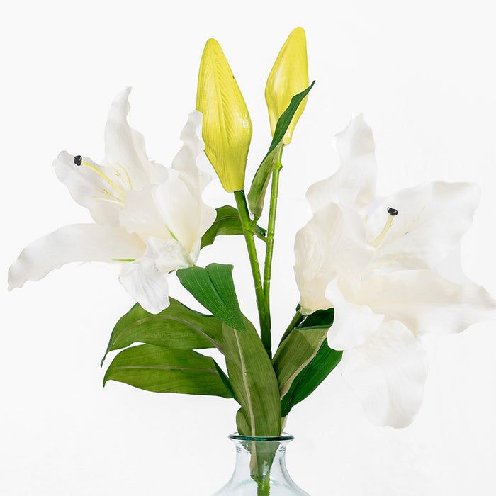 Bouquet of white and yellow lilies in a clear vase on a white background