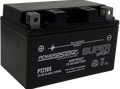 Origin Motorcycle PTZ10S 12V 190CCA 8Ah AGM Powersports Battery