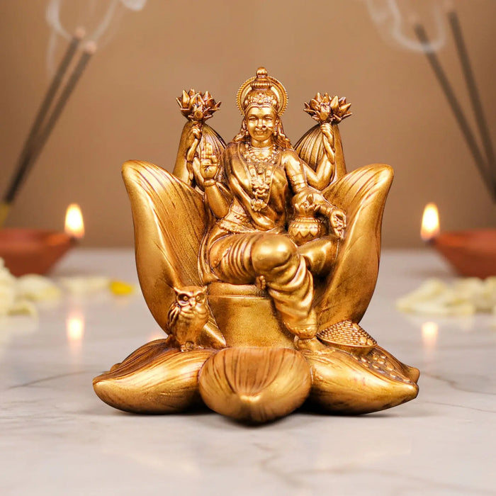Padma Laxmi Car Dashboard
