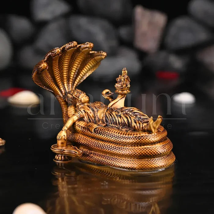 Padmanabhaswamy Idol Car Dashboard