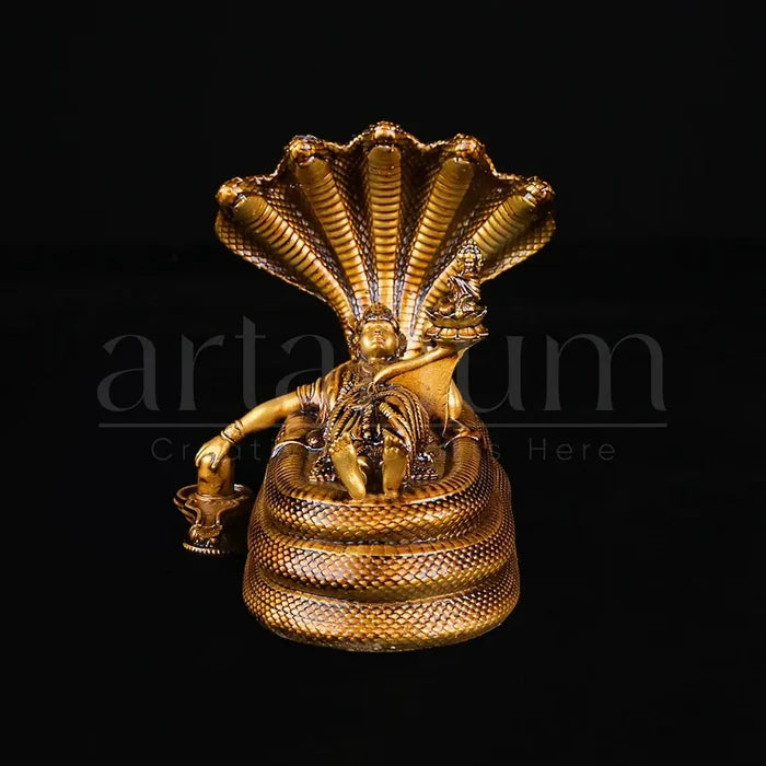 Padmanabhaswamy Idol Car Dashboard