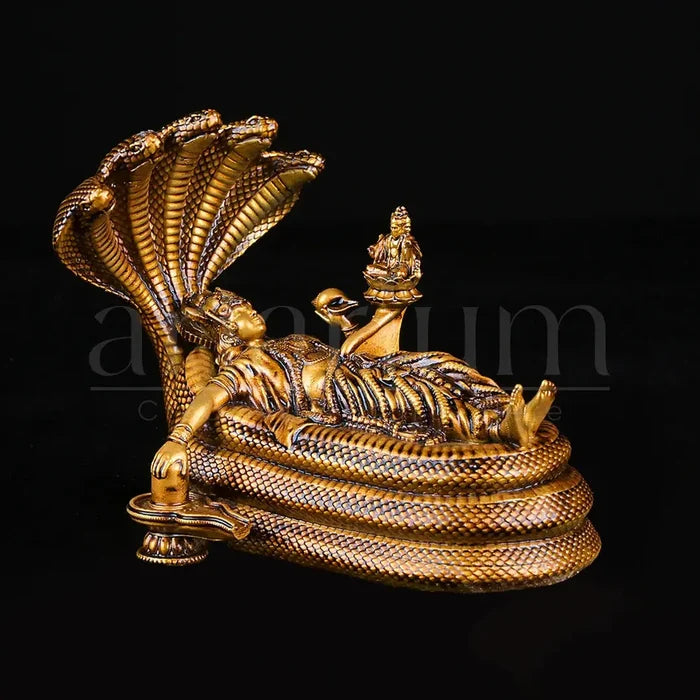 Padmanabhaswamy Idol Car Dashboard
