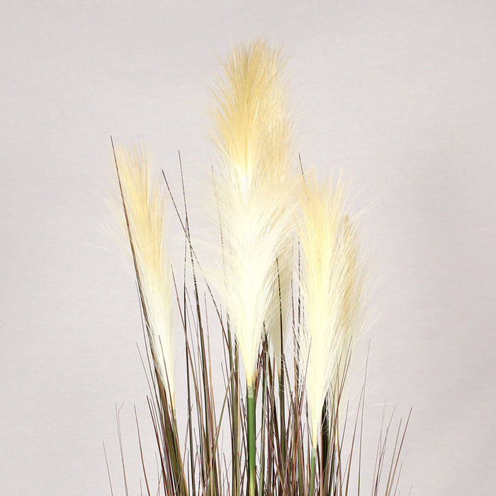Close up of fluffy cream-colored artificial pampas grass plumes and thin brown stems, set against a plain background.