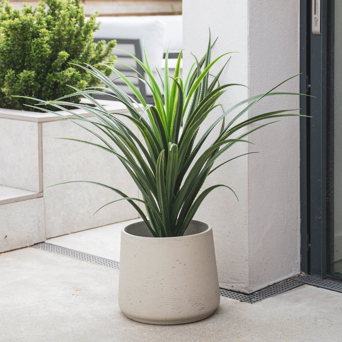 Potted plant on a patio with a modern building and greenery in the background