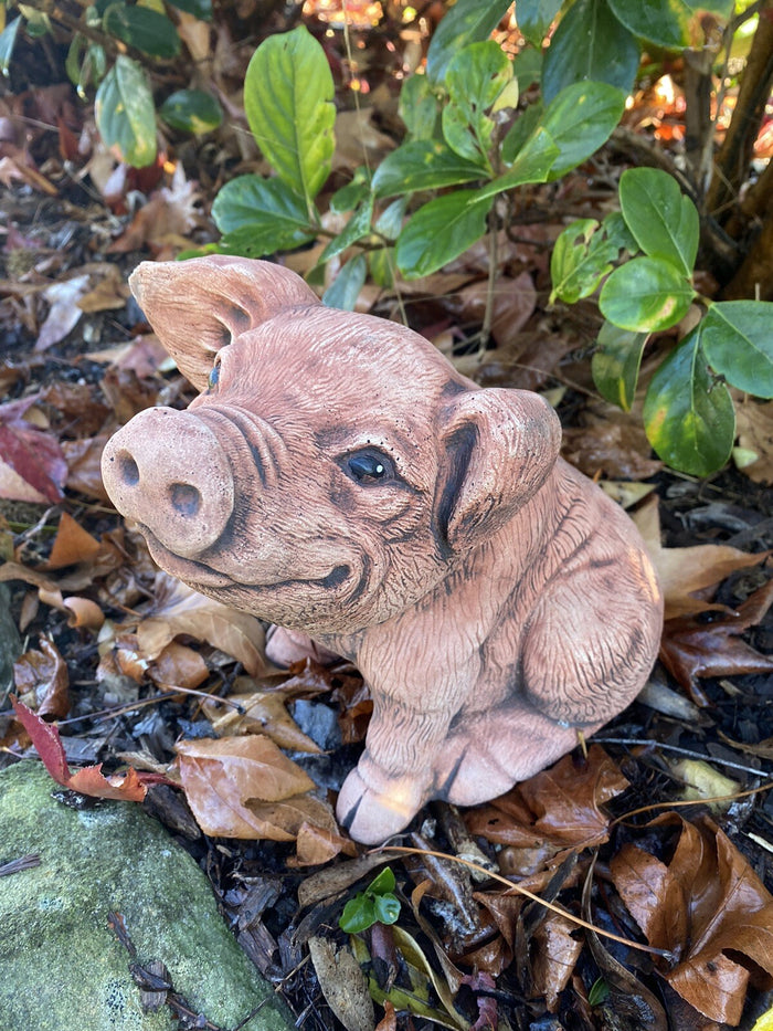 Pig Piglet Statue Farm Ornament Animal Concrete Garden Australian Made