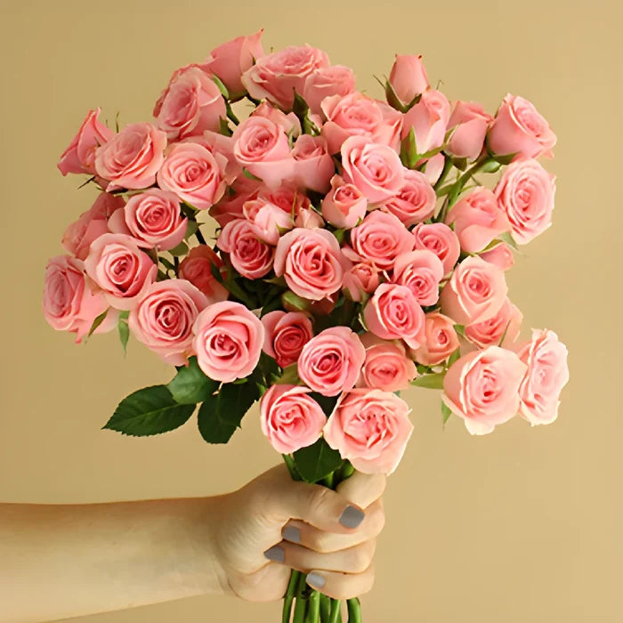 Pink Spray Roses