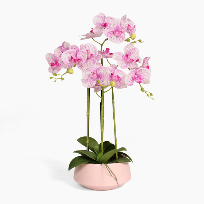 Artificial pink veined orchid