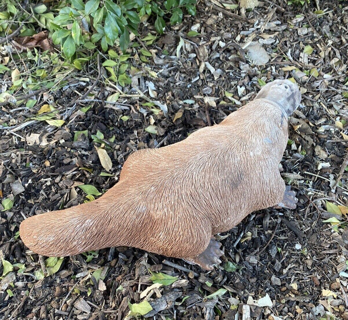 22nice4me Garden Statues hand-painted concrete platypus ornament with an antique finish in a garden setting