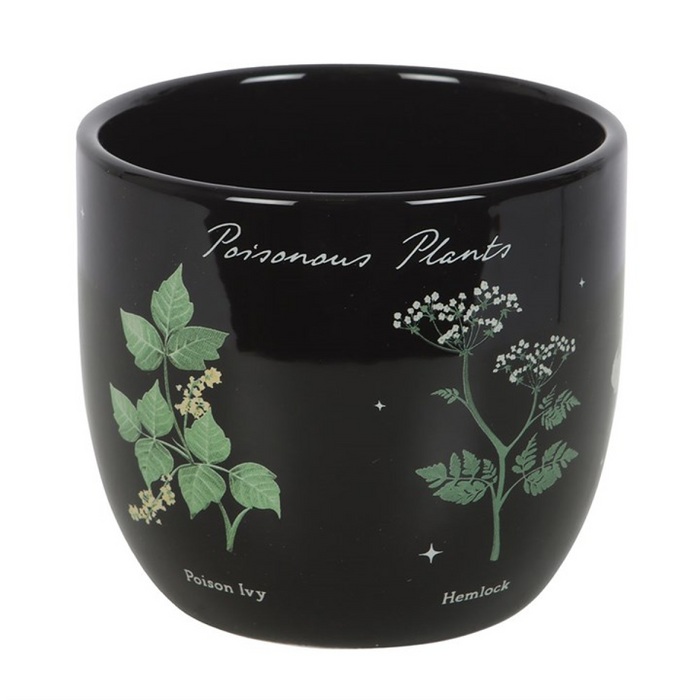 Poisonous Plants Plant Pot