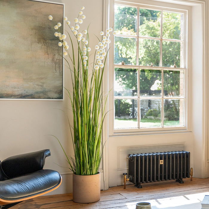 Living room with a radiator, plant, and furniture