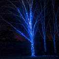 Pro Connect 10m 100 Blue Connectable String Lights Black Cable