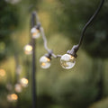 Pro Connect 15m 30 Warm White Connectable Festoon Lights Clear Cap Black Cable
