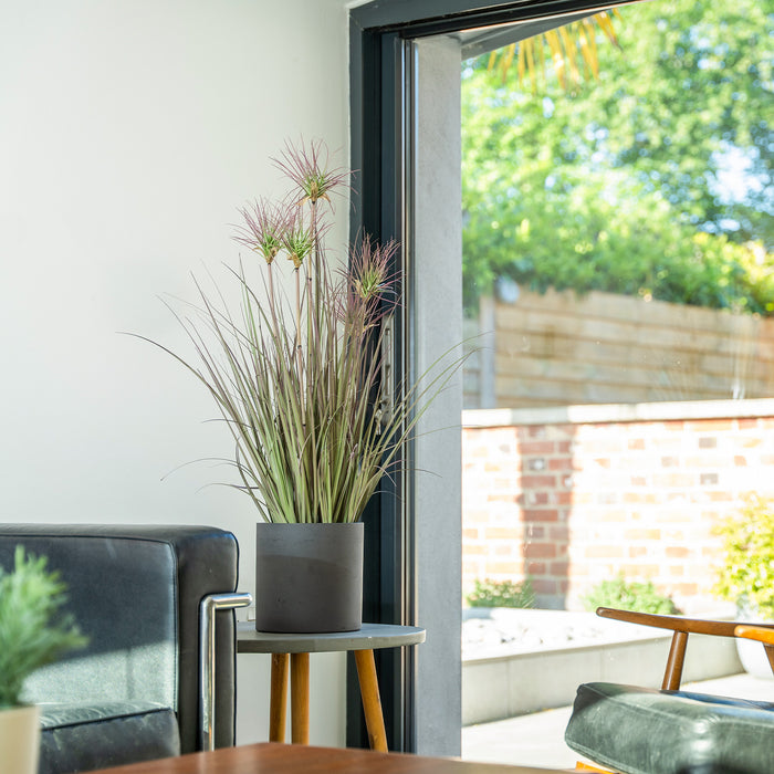 Potted plant on a side table with a view of a garden through a glass door.