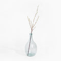 Clear glass vase with a branch on a white background