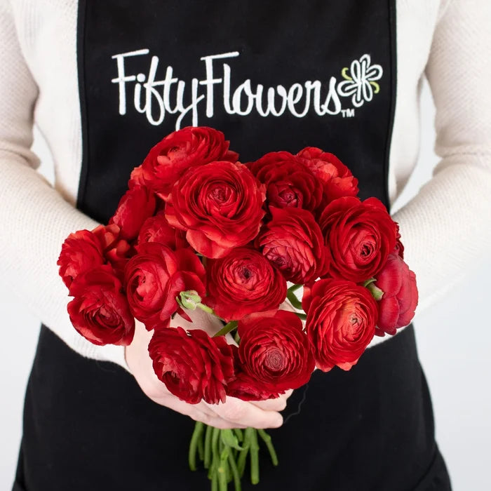 Red Ranunculus Flower Bunch in Hand