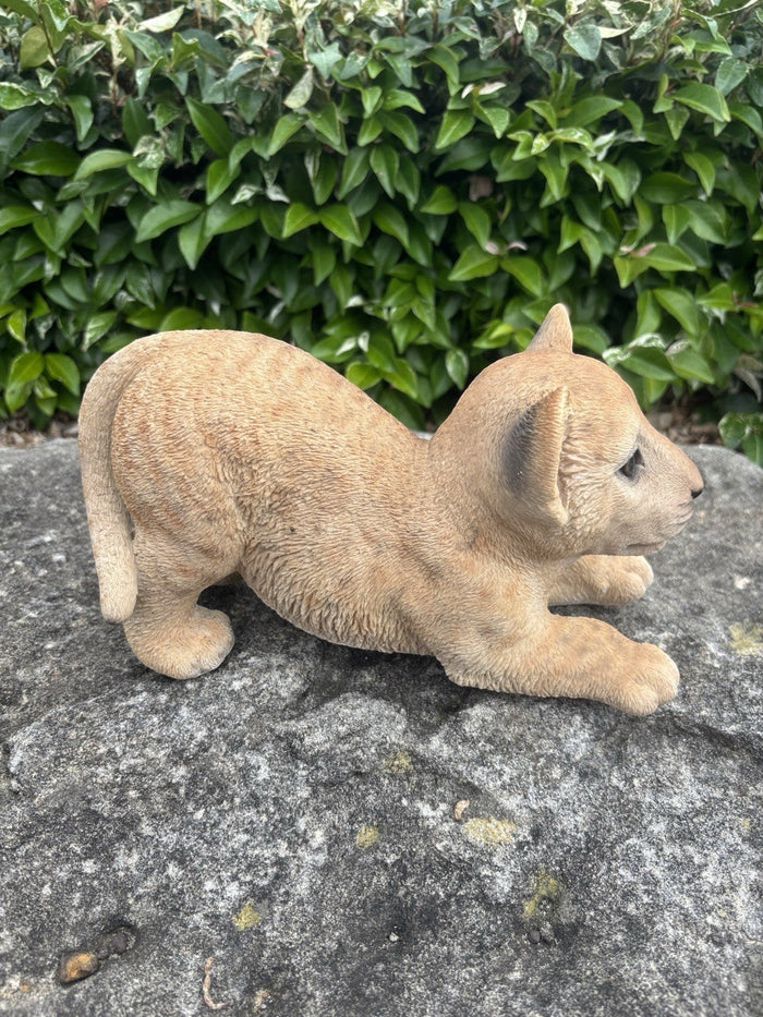 22nice4me Garden Statues resin lion cub figurine with realistic textured fur, sitting on a grey stone in a garden.