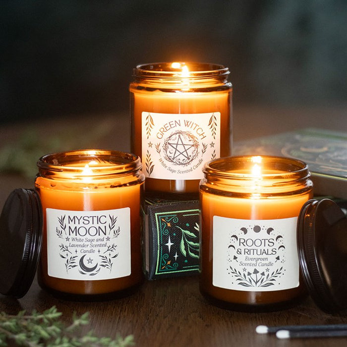 Roots & Rituals Evergreen Amber Glass Candle