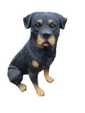 ROTTI ROTTWEILER STATUE PUPPY MEMORIAL ANIMAL GARDEN ORNAMENT SCULPTURE