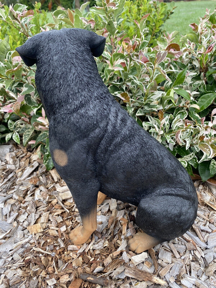 ROTTI ROTTWEILER STATUE PUPPY MEMORIAL ANIMAL GARDEN ORNAMENT SCULPTURE