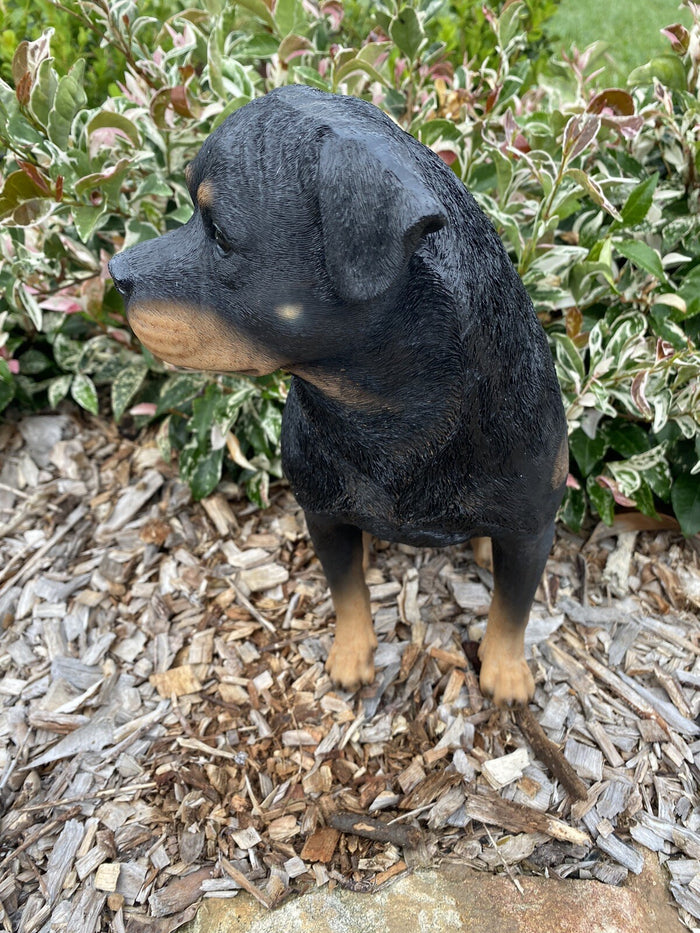 ROTTI ROTTWEILER STATUE PUPPY MEMORIAL ANIMAL GARDEN ORNAMENT SCULPTURE