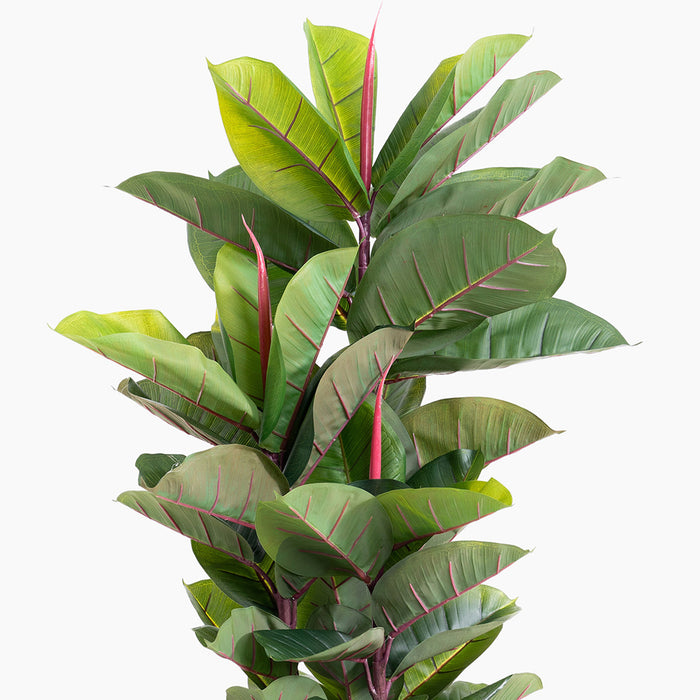 Artificial 105cm rubber tree foliage
