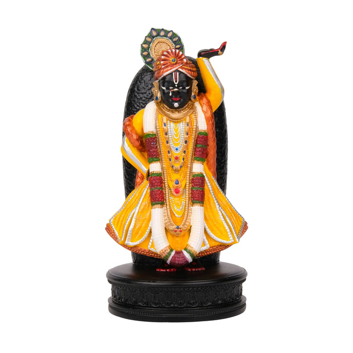 Shrinathji Murti